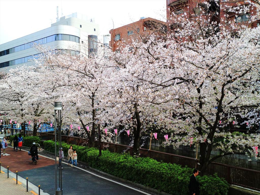 Coto Shibuya 2 Tokio